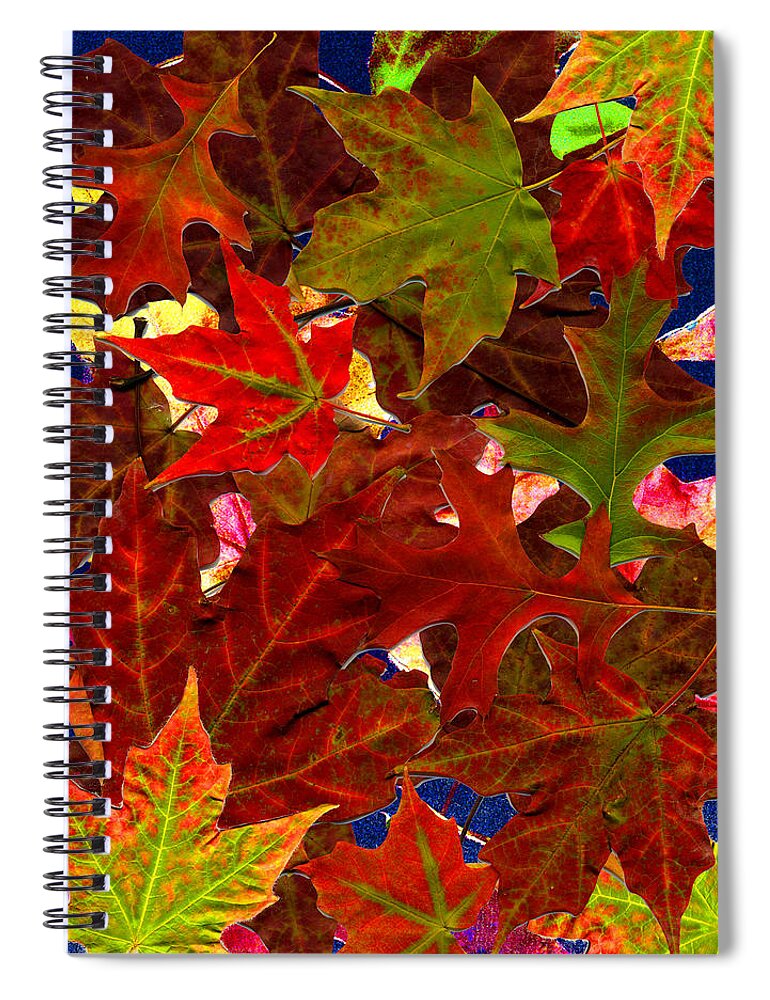 Collage Spiral Notebook featuring the photograph Autumn Leaves by Nancy Mueller
