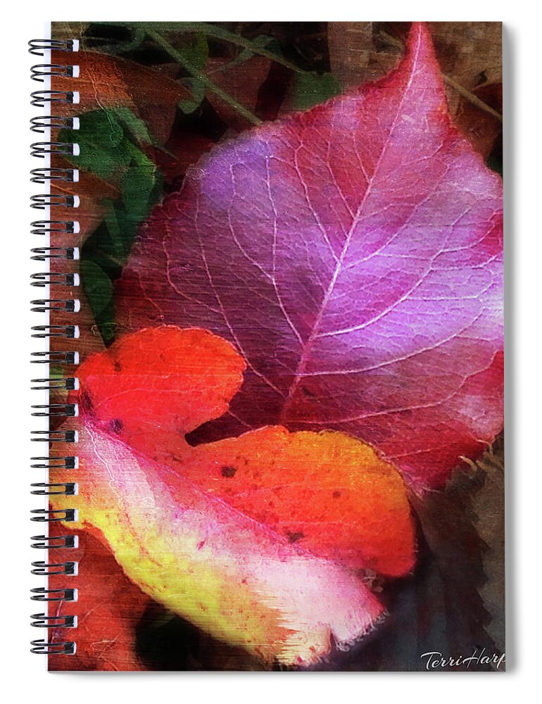 Autumn Leaves Spiral Notebook featuring the photograph Autumn Leaves by Terri Harper