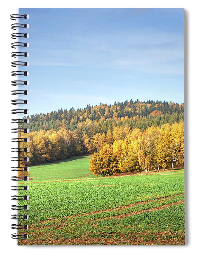 Jenny Rainbow Fine Art Photography Spiral Notebook featuring the photograph Autumn Luminosity by Jenny Rainbow