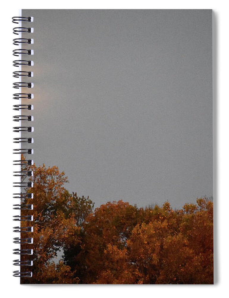Plants Spiral Notebook featuring the photograph Autumn Moon by Skip Willits