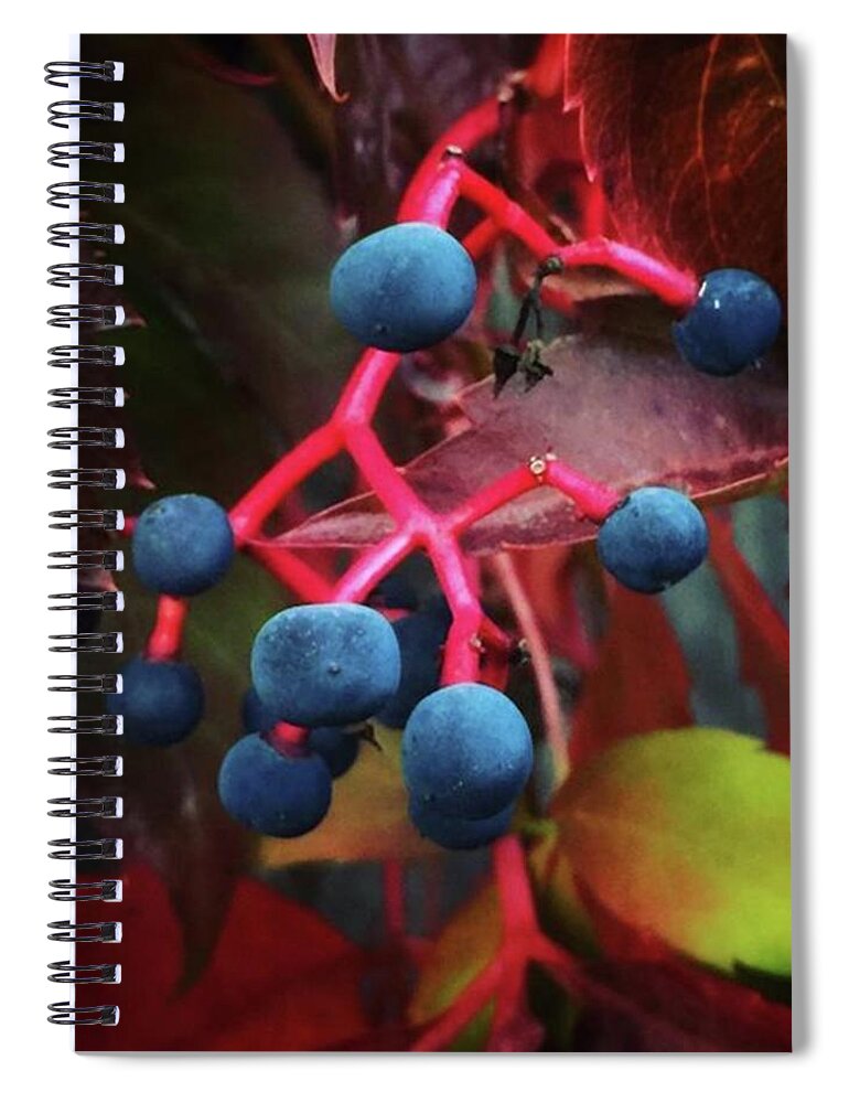 Redandblue Spiral Notebook featuring the photograph Autumn Mystery Berries Down The Street by Ginger Oppenheimer