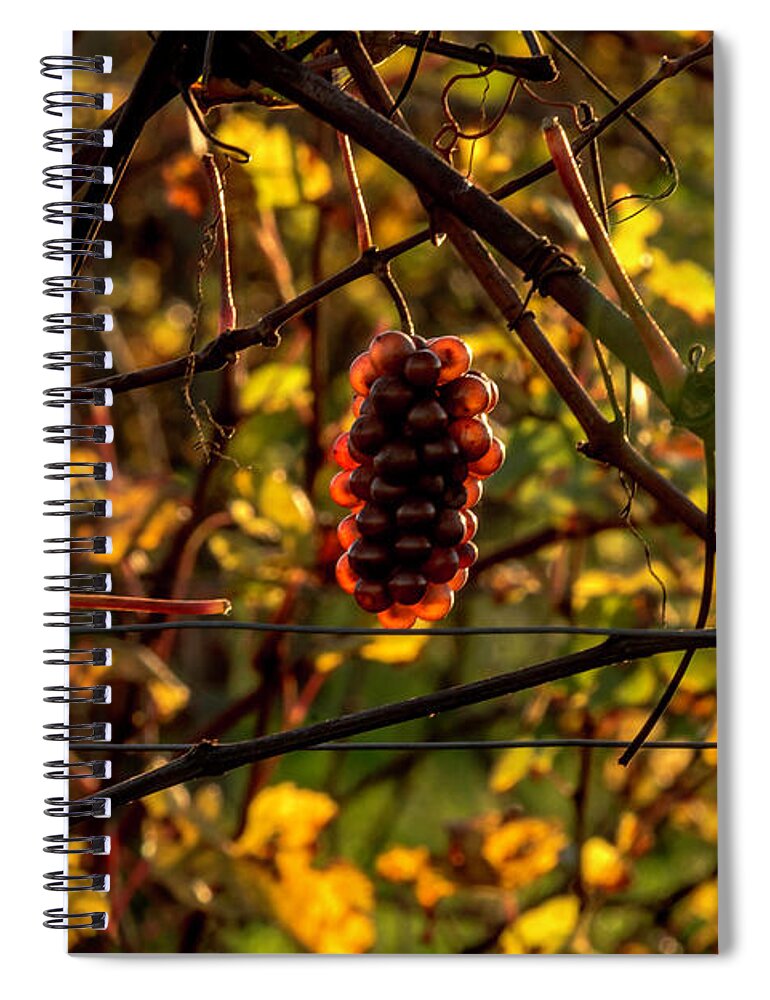 Autumn Poetry Spiral Notebook featuring the photograph Autumn Poetry by Wolfgang Stocker