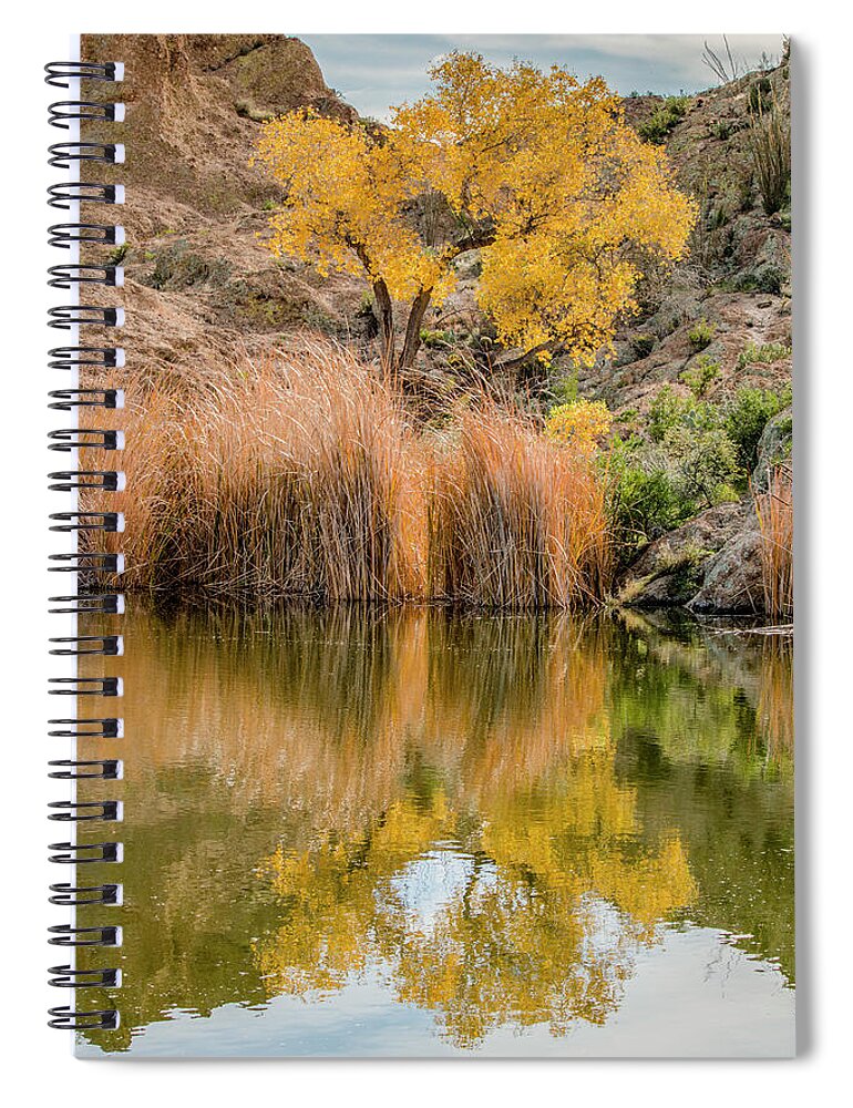 Tree Spiral Notebook featuring the photograph Autumn Reflection at Boyce Thompson Arboretum by Teresa Wilson