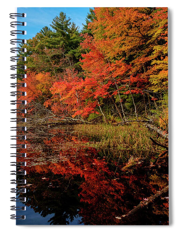 Fall Spiral Notebook featuring the photograph Autumn Scene by Jean-Pierre Ducondi