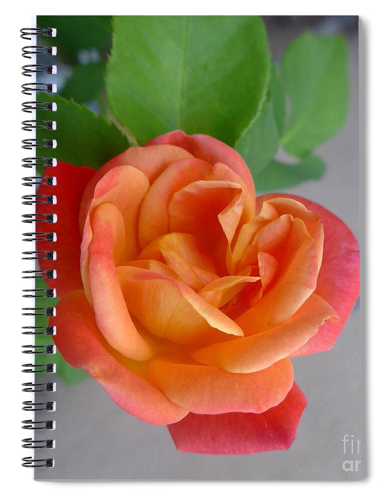 Sedona Spiral Notebook featuring the photograph Autumn Sedona HEART Rose by Mars Besso