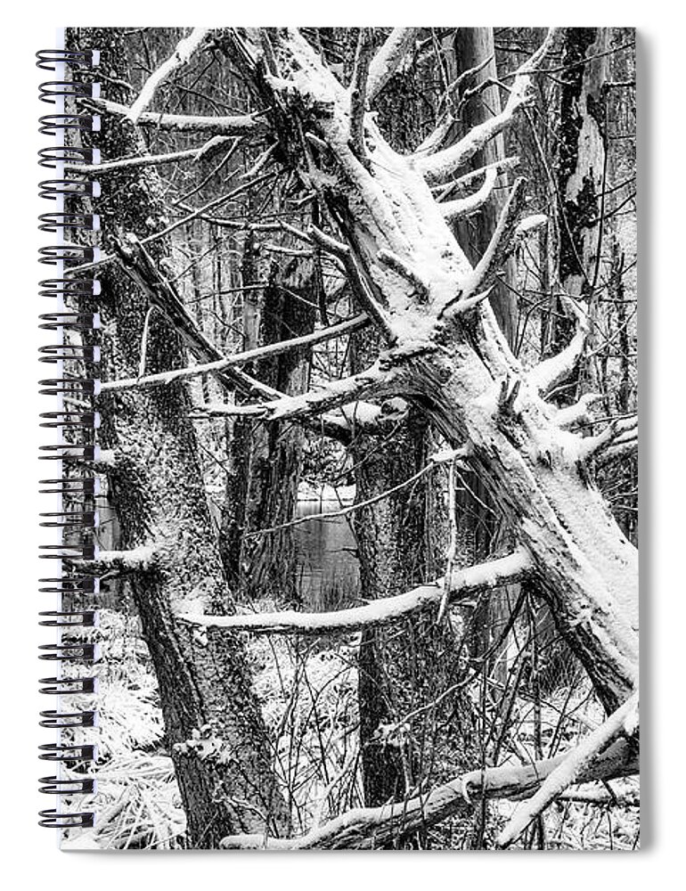 Autumn Spiral Notebook featuring the photograph Autumn Snow in Black and White by Thomas R Fletcher