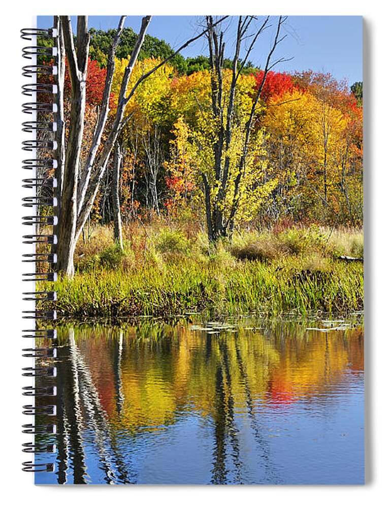 Autumn Spiral Notebook featuring the photograph Autumn Splendor - Bolton Flats by Luke Moore