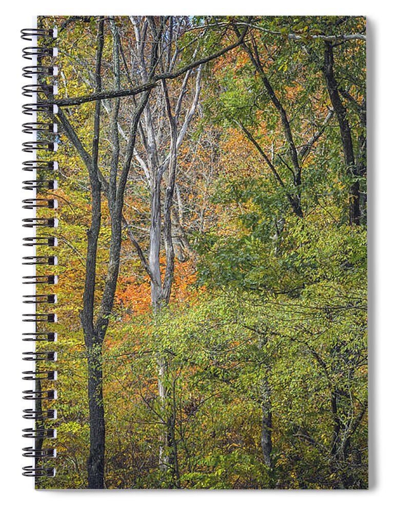 Autumn Spiral Notebook featuring the photograph Autumn Tapestry by Tamara Becker