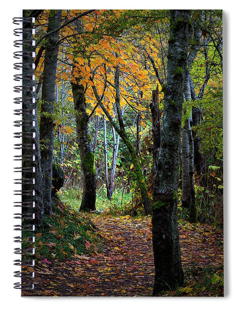 Autumn Trail Spiral Notebook featuring the photograph Autumn Trail by Randy Hall