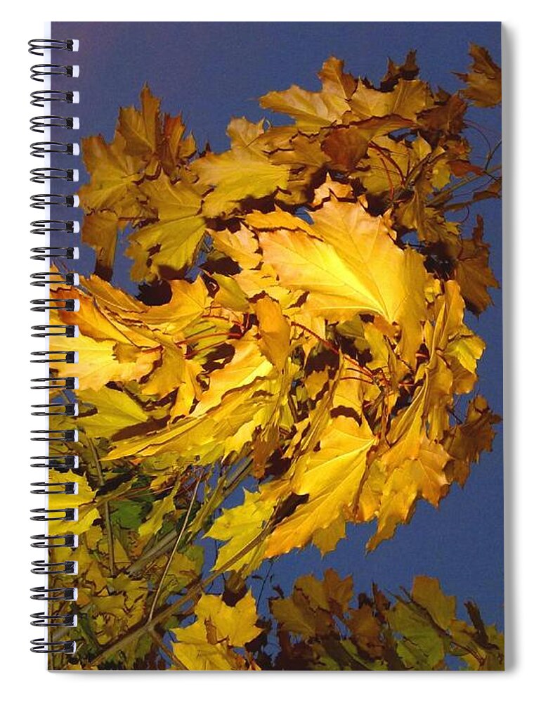 Maple Leaves Spiral Notebook featuring the photograph Autumn Winds by Will Borden
