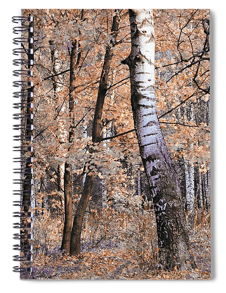 Jenny Rainbow Fine Art Photography Spiral Notebook featuring the photograph Autumnal Lightness by Jenny Rainbow