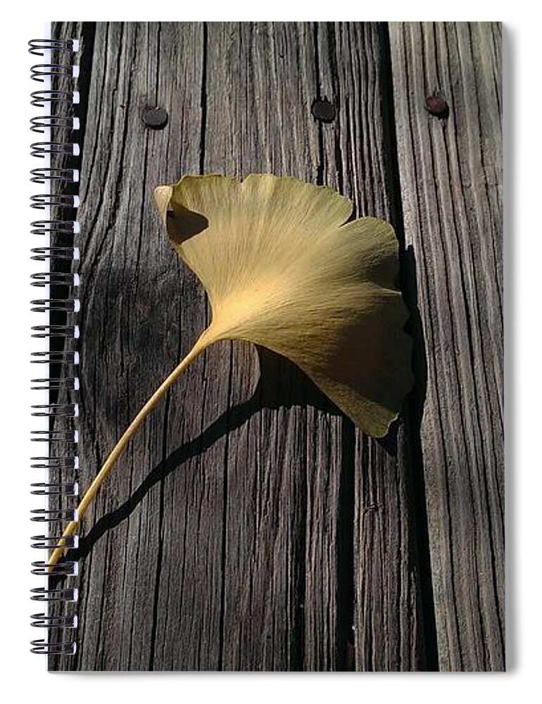 Architecture Spiral Notebook featuring the photograph Autumn's First Fall by Liza Eckardt
