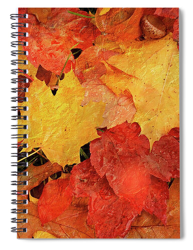Autumn Spiral Notebook featuring the photograph Autumns Gifts by Jill Love