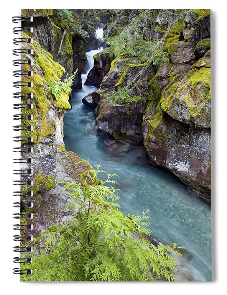 National Park Spiral Notebook featuring the photograph Avalanche Gorge in Glacier National Park by Bryan Mullennix