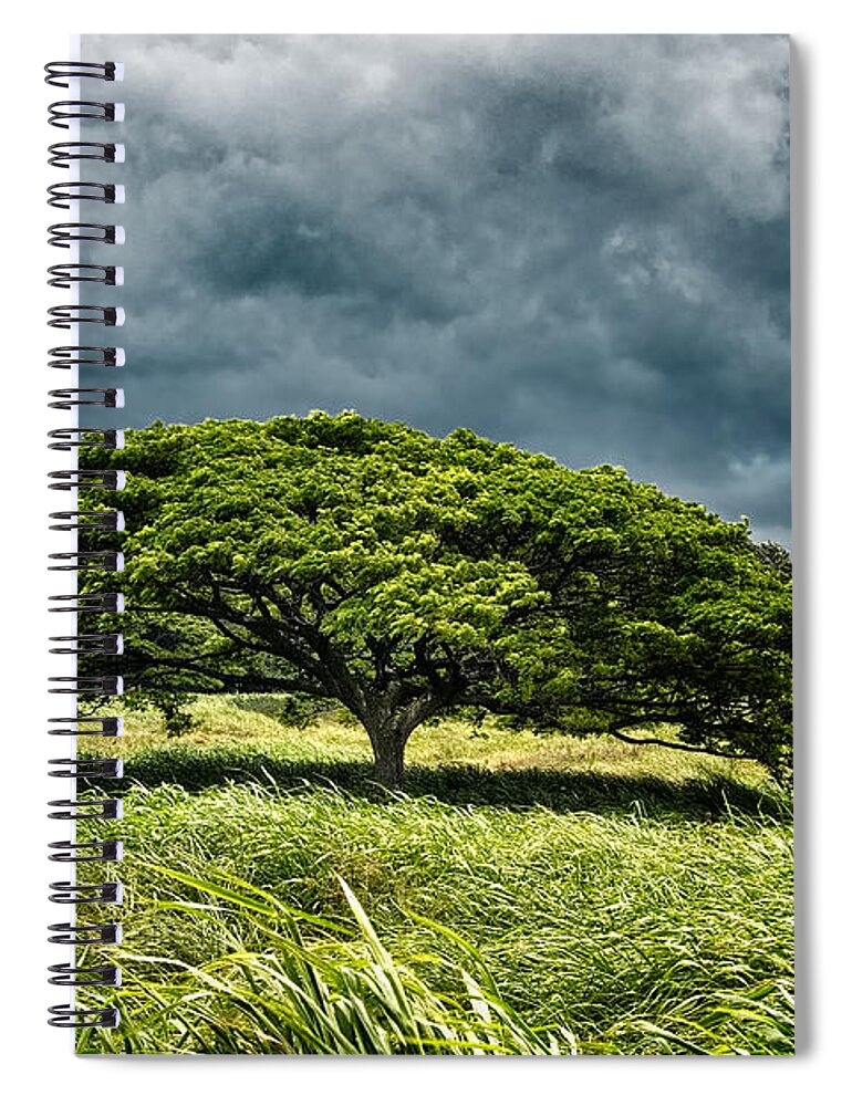 Hawaii Spiral Notebook featuring the photograph Awaiting the Rain by Christopher Holmes