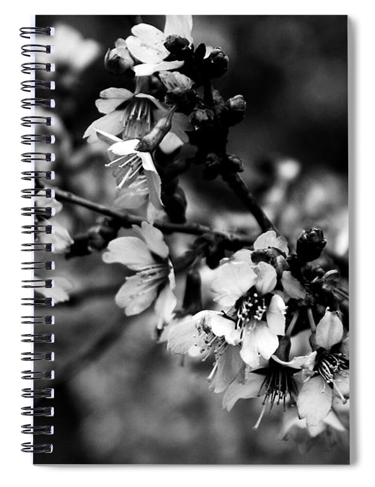 Black And White Spiral Notebook featuring the photograph Awake by Angie Tirado