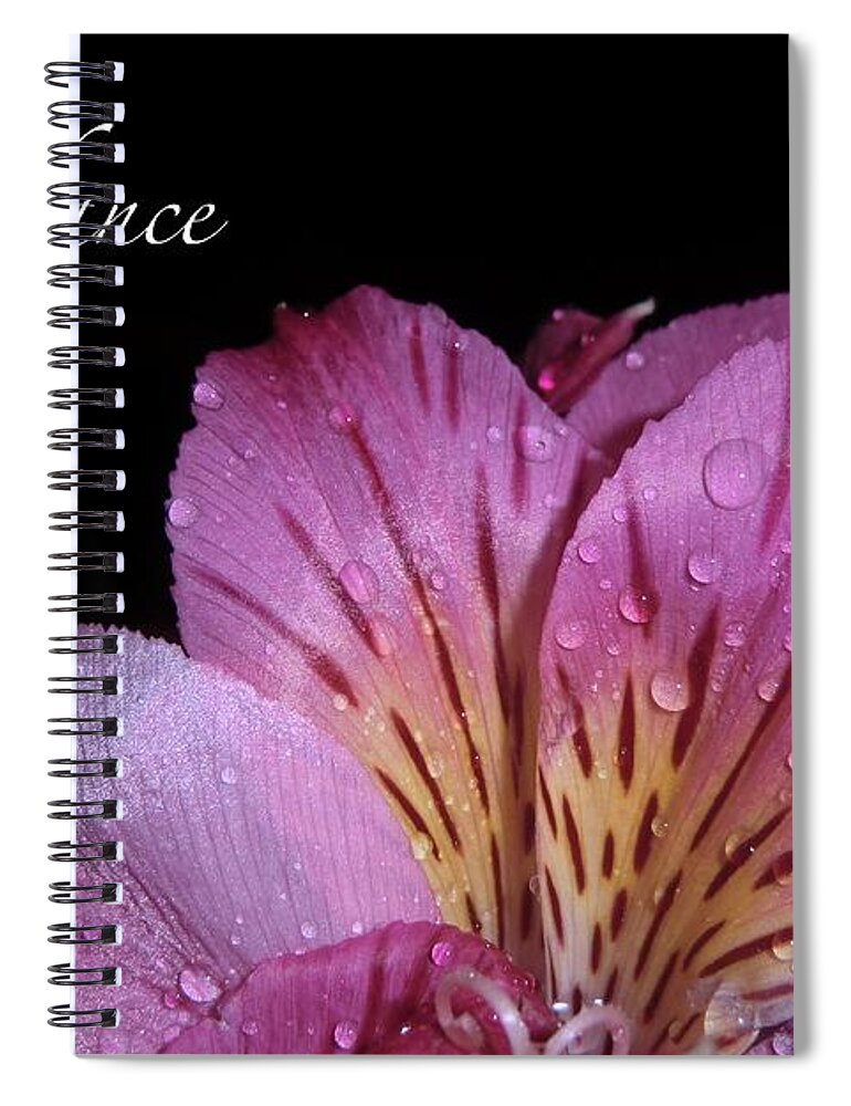 Mug Spiral Notebook featuring the photograph Awakening Abundance by Michele Penn