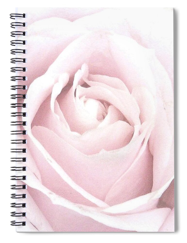 Pastel Pink Rose Spiral Notebook featuring the photograph Awakening Beauty by Angela Davies