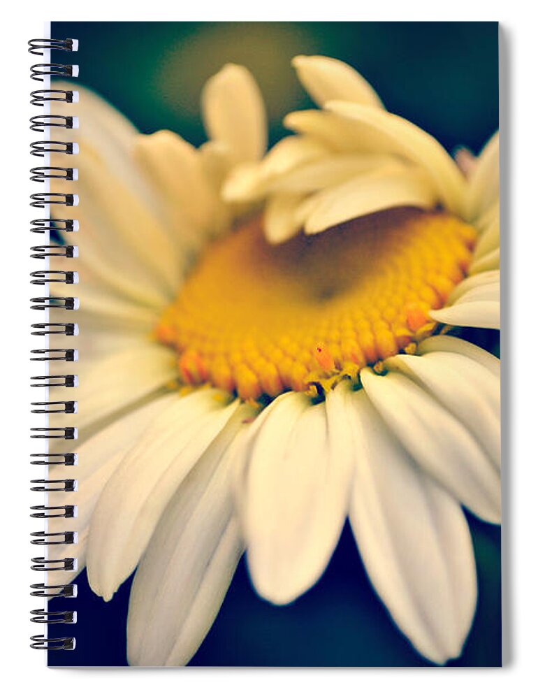 Daisy Spiral Notebook featuring the photograph Awakening by Kelly Nowak
