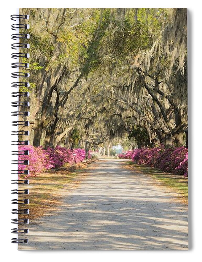 Allee Spiral Notebook featuring the photograph azalea lined road in Spring by Bradford Martin