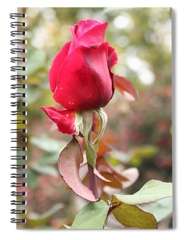 Roses Spiral Notebook featuring the digital art Baby Bloomer by Linda Ritlinger