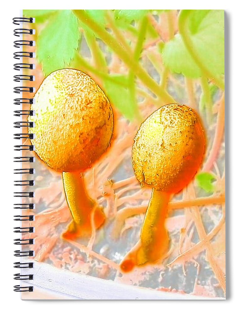 #golden Spiral Notebook featuring the photograph Baby Mushrooms in Watercolor by Belinda Lee