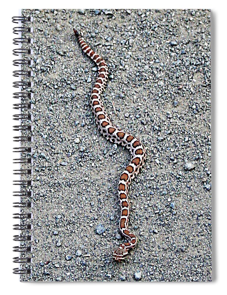 Baby Rattlesnake Spiral Notebook featuring the digital art Baby Rattlesnake by Tom Janca