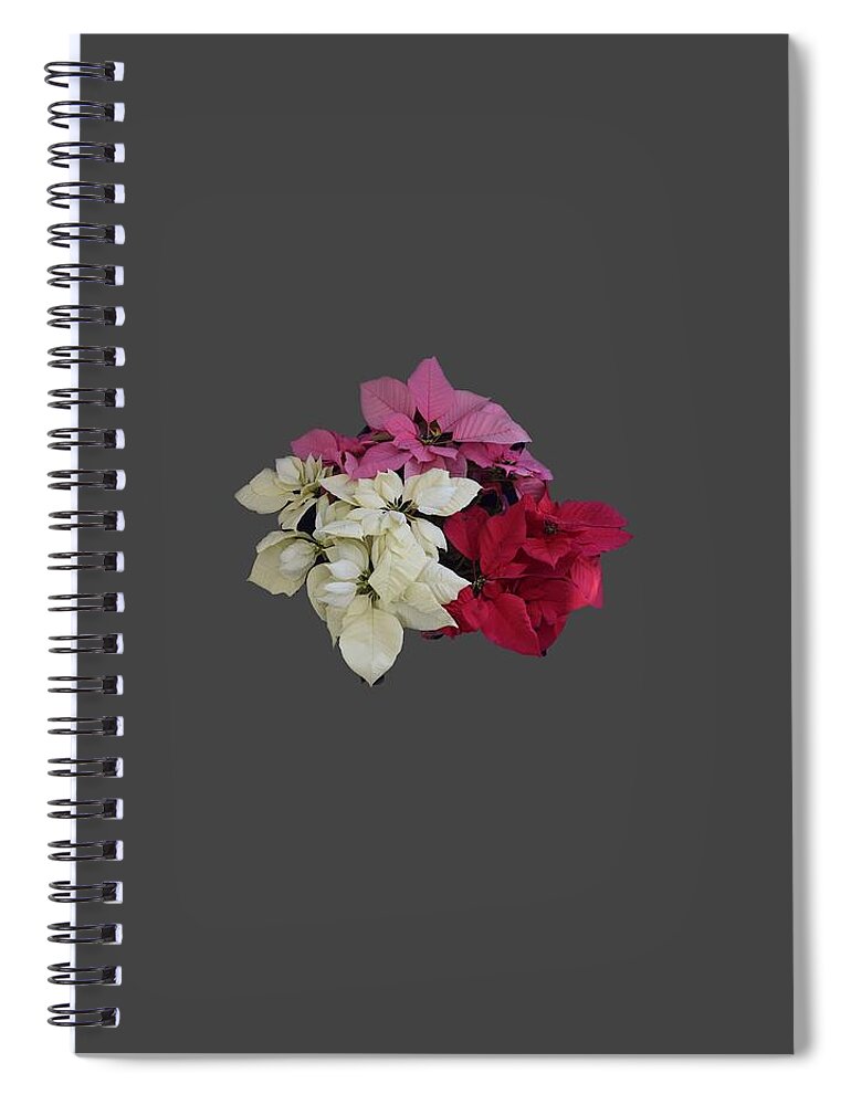 I-pod Cases Spiral Notebook featuring the photograph Background Choice-Pointsettias by R Allen Swezey