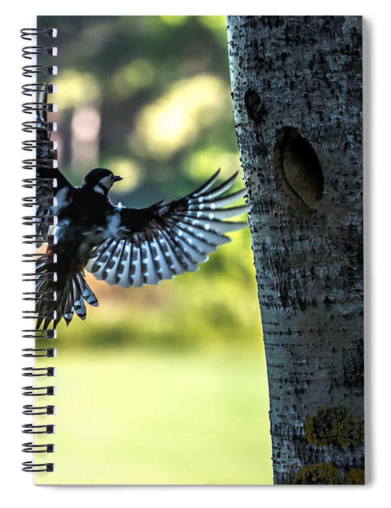 Backlighting Spiral Notebook featuring the photograph Backlighting by Torbjorn Swenelius