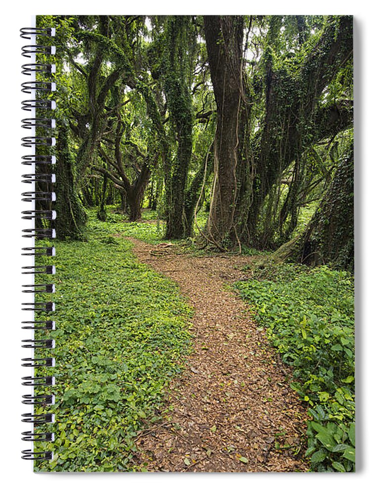 Art Spiral Notebook featuring the photograph Backwoods Path by Jon Glaser