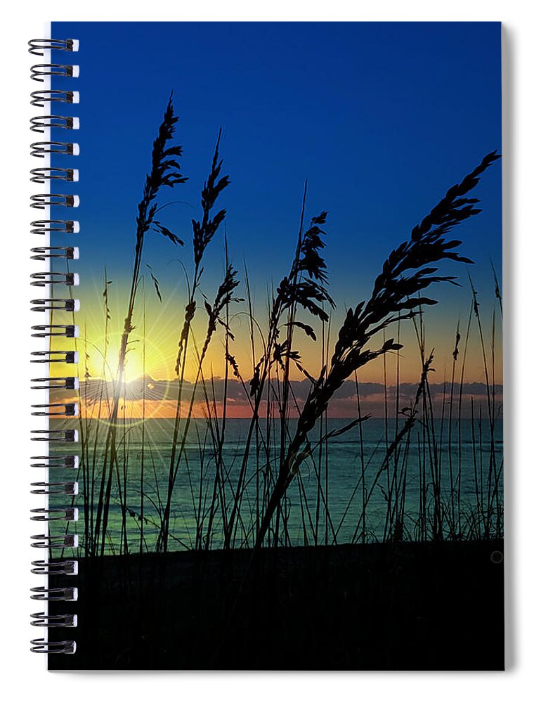 Florida Spiral Notebook featuring the photograph Bad Sea Oats by Robert Francis