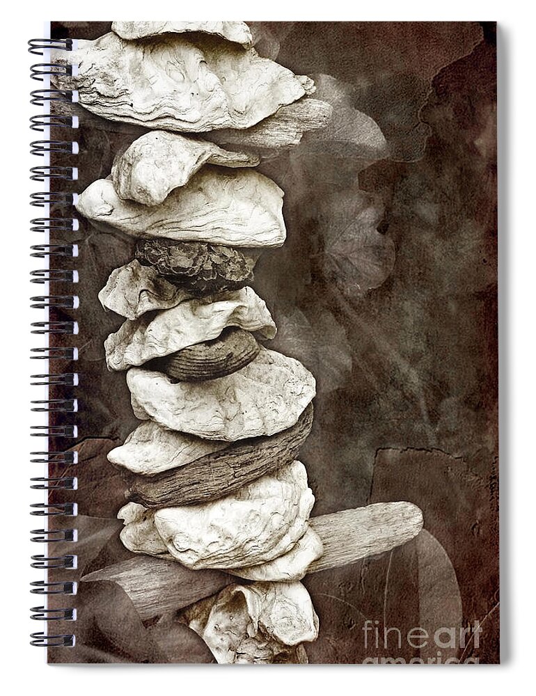 Gardens Spiral Notebook featuring the photograph Balanced by Ellen Cotton