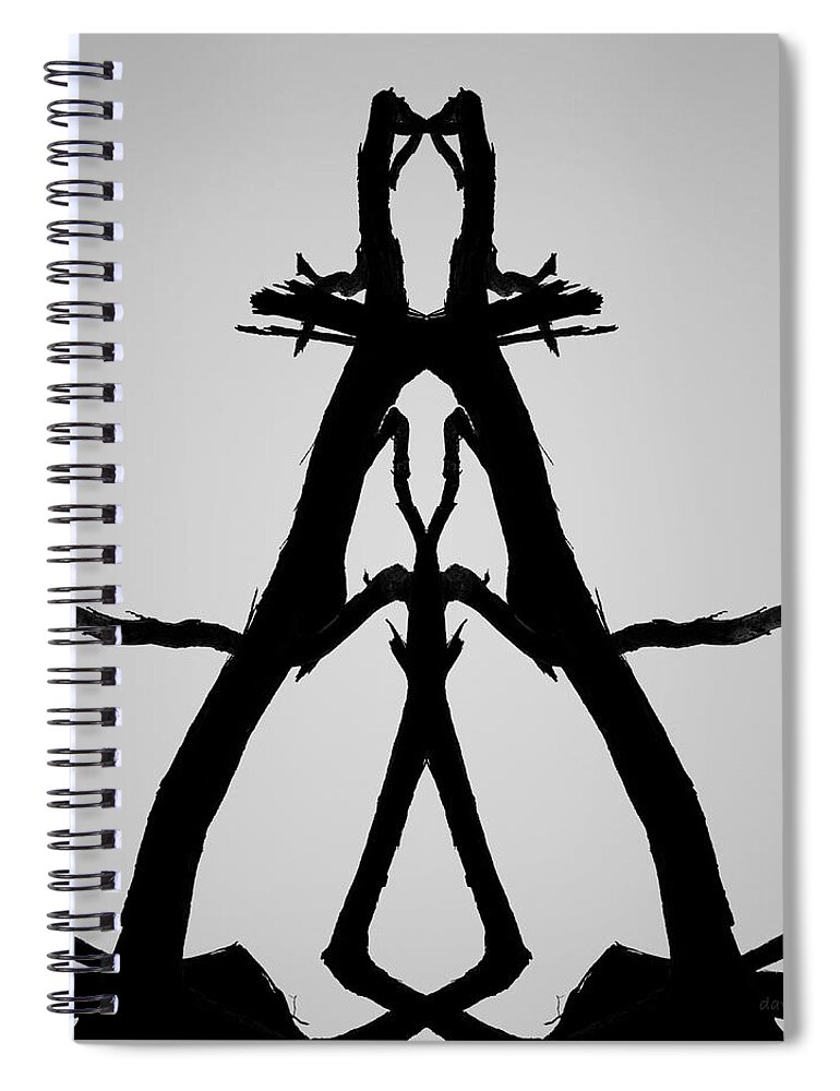 Balance Spiral Notebook featuring the photograph Balanced I BW by David Gordon