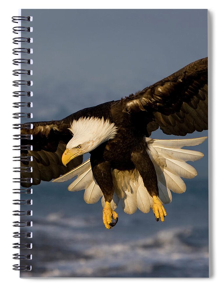 Eagle Spiral Notebook featuring the photograph Bald Eagle in Action by Mark Miller