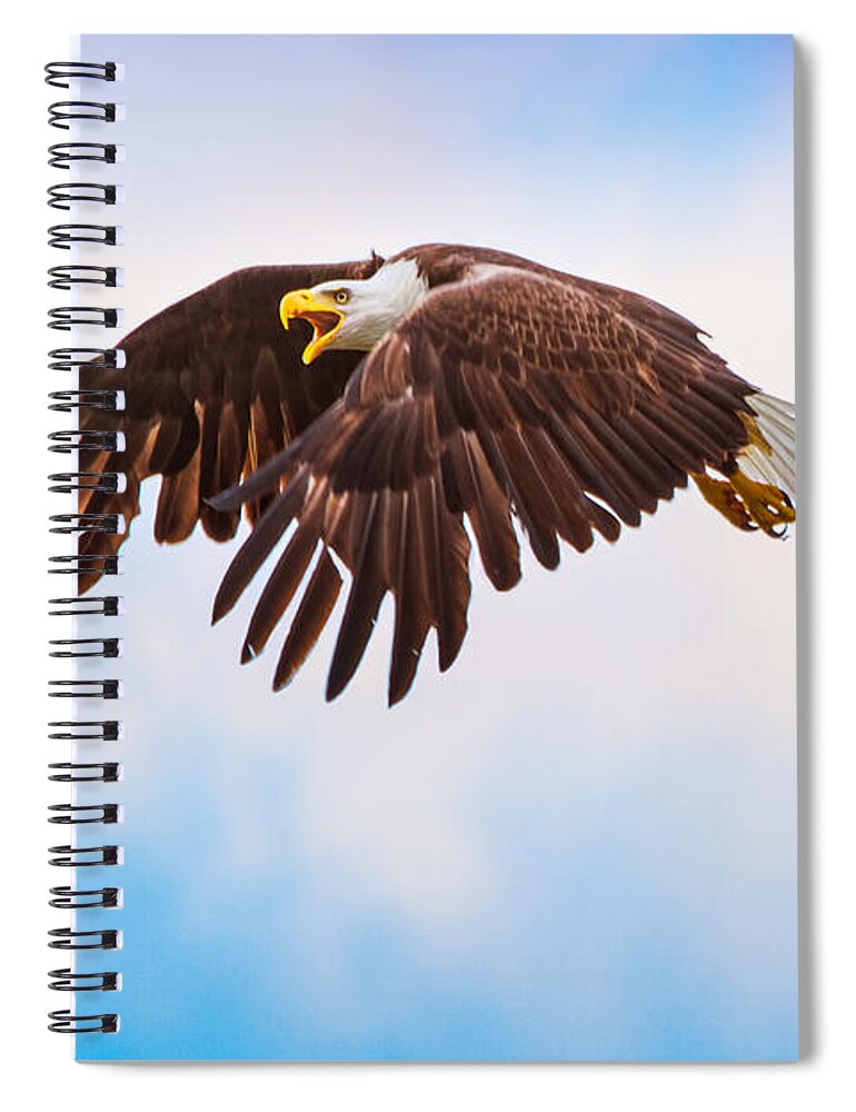 Eagle Spiral Notebook featuring the photograph Bald Eagle by Mark Andrew Thomas
