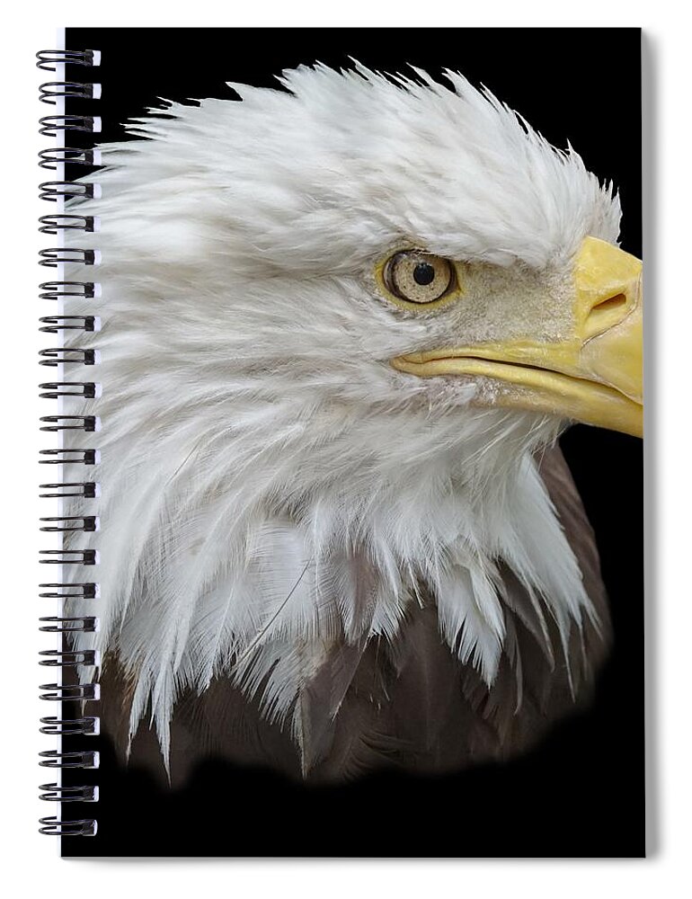 Animal Spiral Notebook featuring the photograph Bald Eagle Profile by Ernest Echols