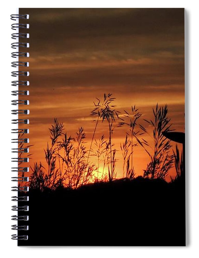 Whale Spiral Notebook featuring the photograph Baleines Terrestres des Montagnes Vertes - Three by Vincent Green