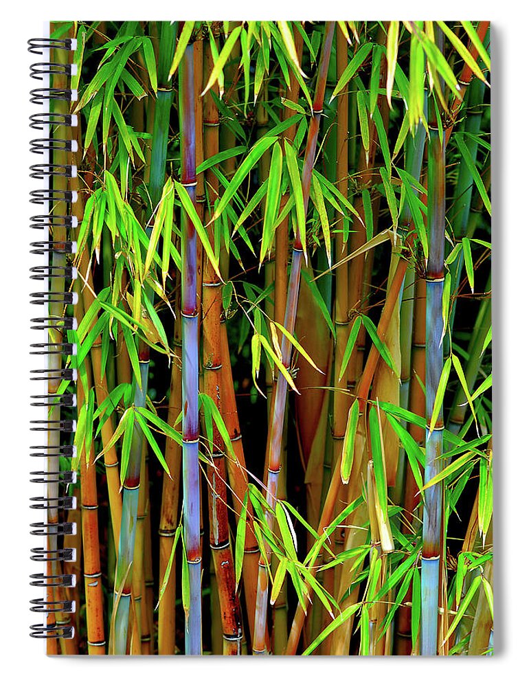 Bamboo Spiral Notebook featuring the photograph Bamboo by Harry Spitz