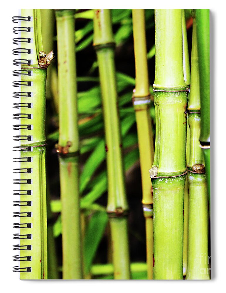 Nature Spiral Notebook featuring the photograph Bamboo Trunks by Fei A