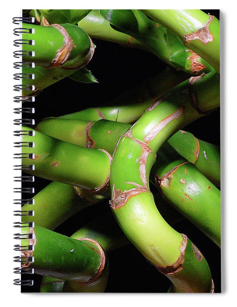 Bamboo Spiral Notebook featuring the photograph Bamboozle by Ted Keller