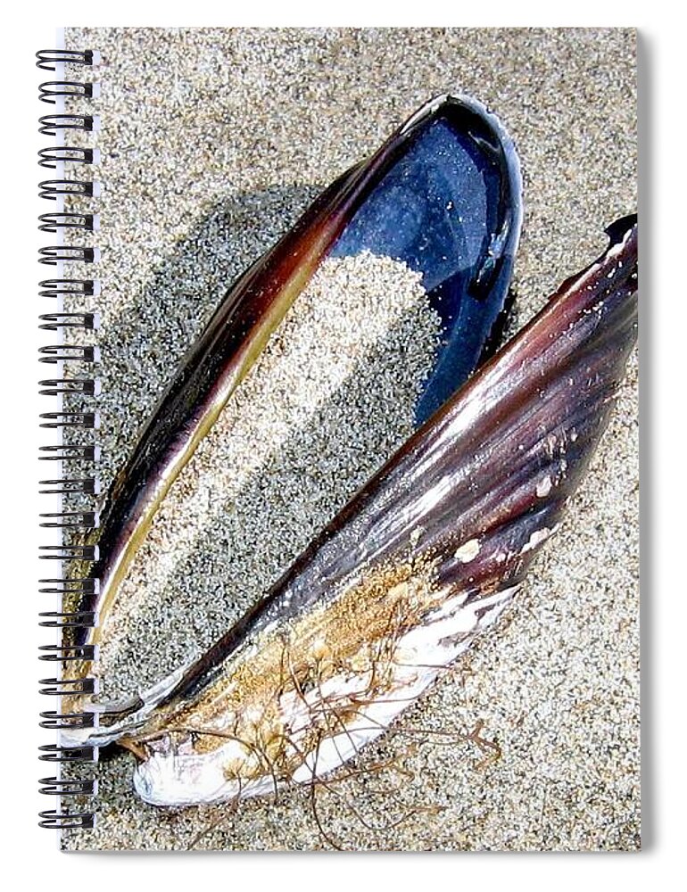 Bandon Spiral Notebook featuring the photograph Bandon 13 by Will Borden