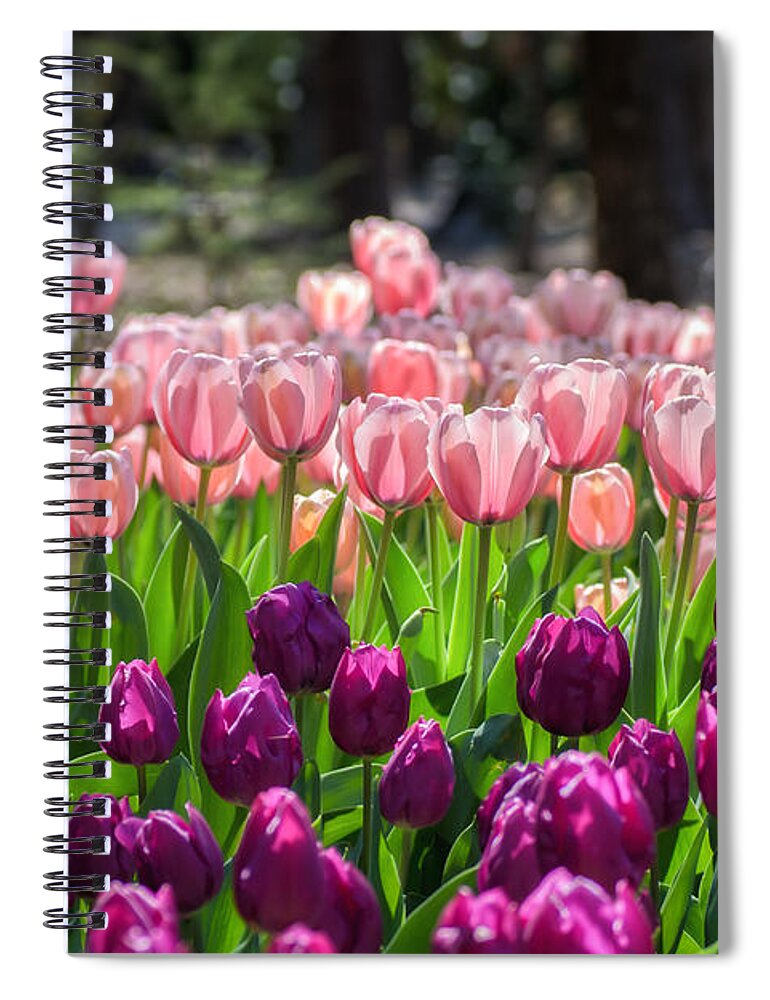 Tulip Spiral Notebook featuring the photograph Standing Room Only by James Barber