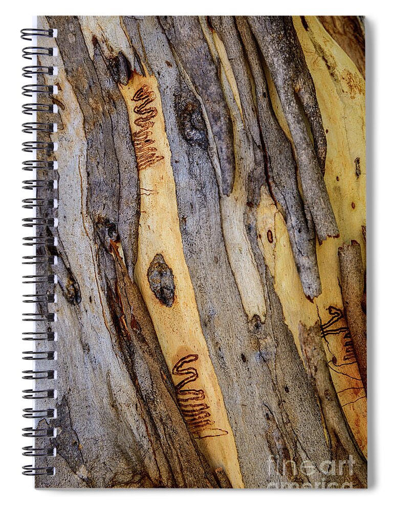 Bark Spiral Notebook featuring the photograph Bark NNP03 by Werner Padarin