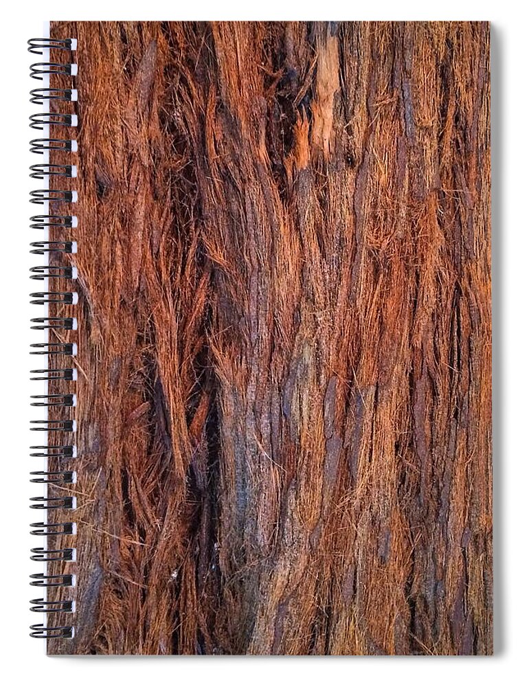 Shaggy Bark Spiral Notebook featuring the photograph Shaggy Bark by Sandy Taylor