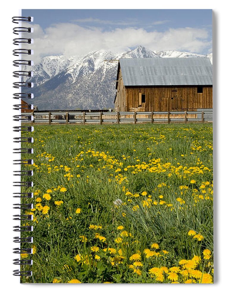 Farms Spiral Notebook featuring the photograph Barns In A Dandelion Field by Inga Spence