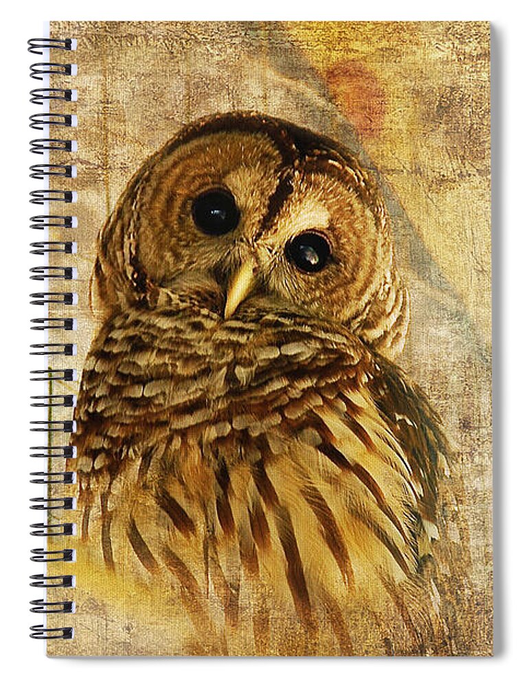Owl Spiral Notebook featuring the photograph Barred Owl by Lois Bryan
