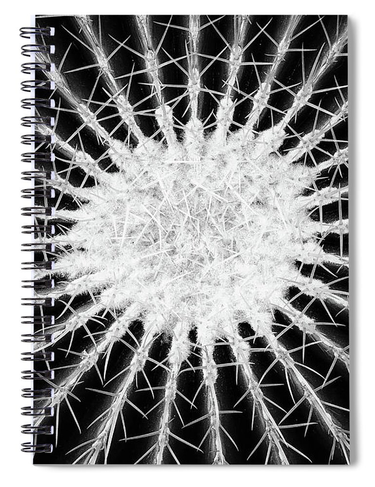 Barrel Spiral Notebook featuring the photograph Barrel Cactus No. 6-2 by Sandy Taylor