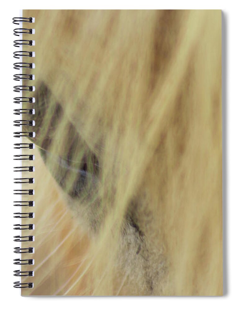 Horse Spiral Notebook featuring the photograph Bashful by Holly Ross