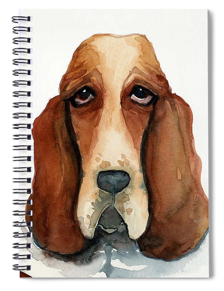 Basset Hound Spiral Notebook featuring the painting Basset Hound by Leanne Wilkes