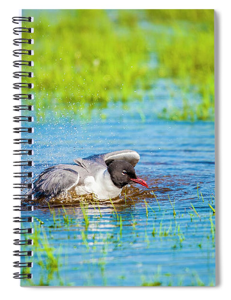 Nature Spiral Notebook featuring the photograph Bath Time by Cathy Kovarik